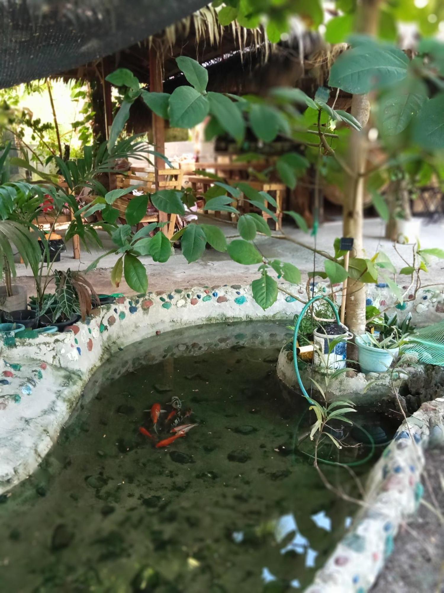 Weeroona Huts Homestay Pacifico San Isidro  Екстериор снимка